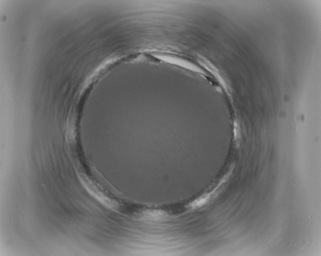 X0000087530203200705112040