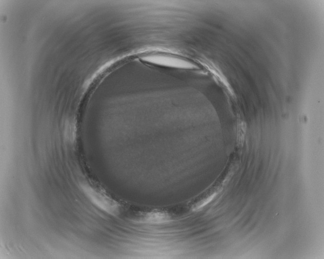 X0000087530204200705112040