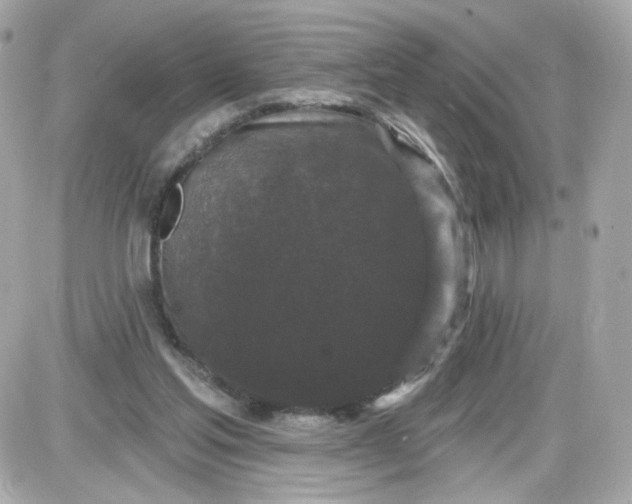 X0000087530205200705112040