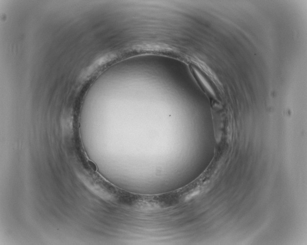 X0000087530207200705112040