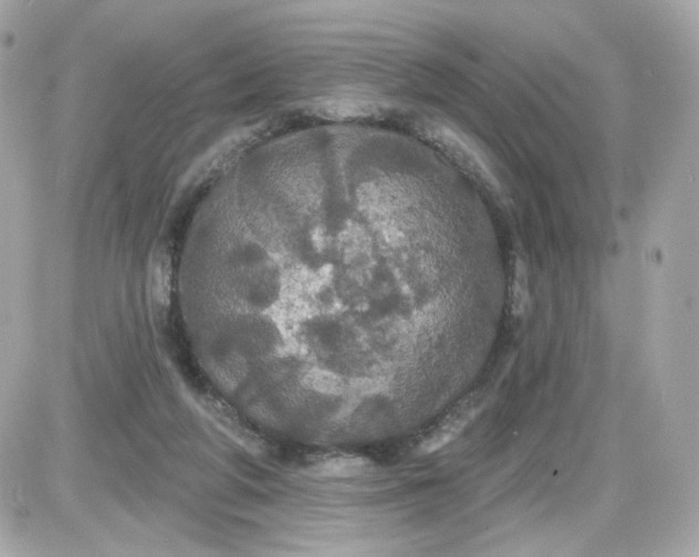 X0000087530210200705112039