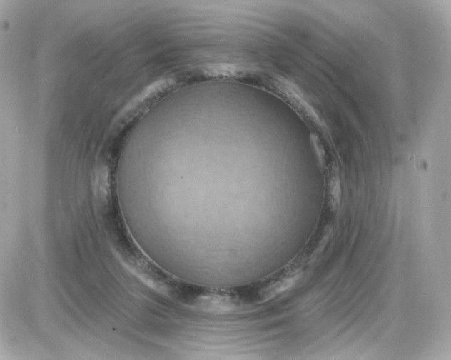 X0000087530211200705112039