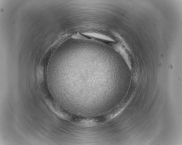 X0000087530213200705112039