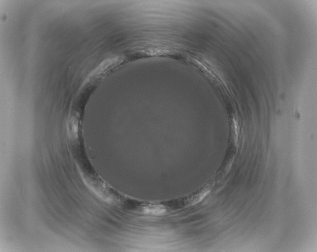 X0000087530214200705112039