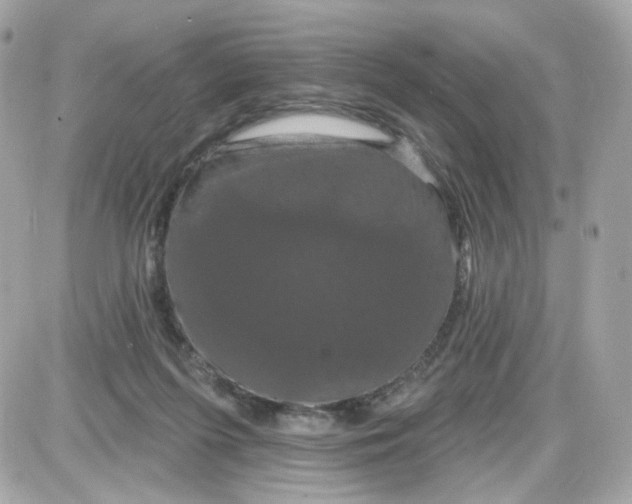 X0000087530215200705112039