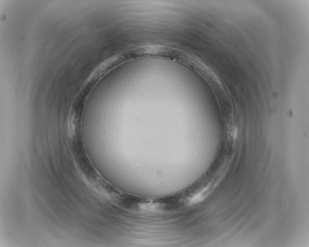 X0000087530216200705112039