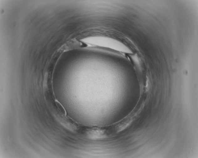 X0000087530217200705112039