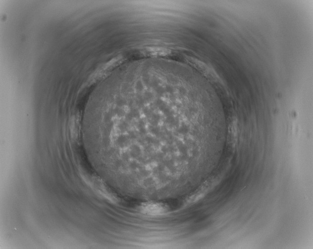 X0000087530218200705112039