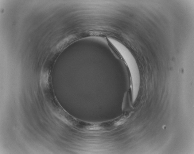 X0000087530219200705112039