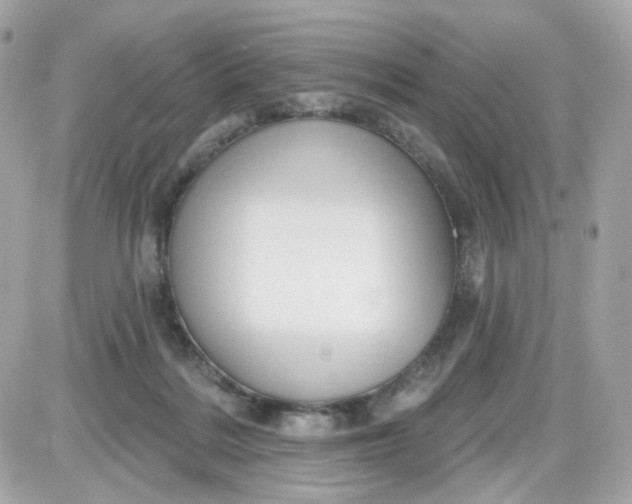 X0000087530220200705112039