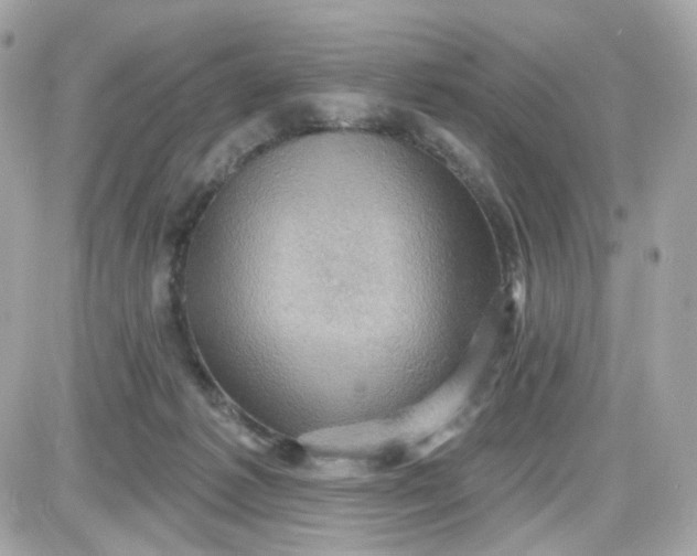 X0000087530221200705112039