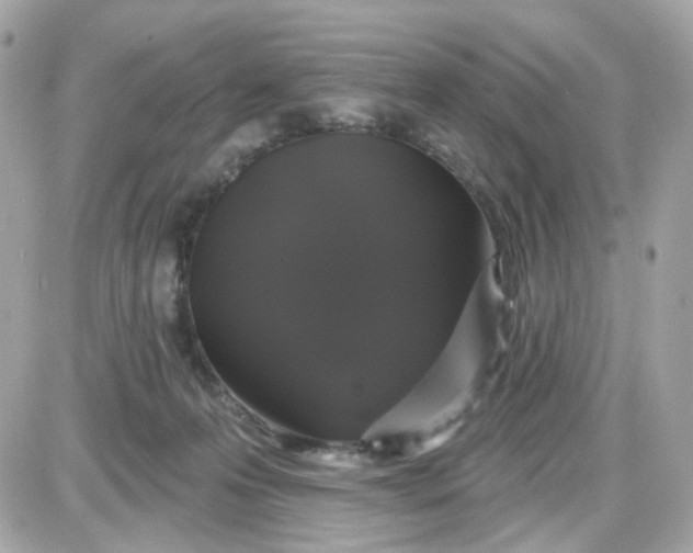 X0000087530223200705112039