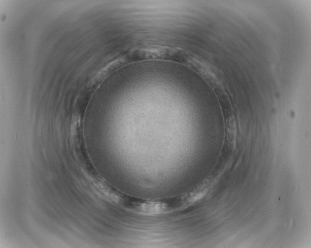 X0000087530225200705112039