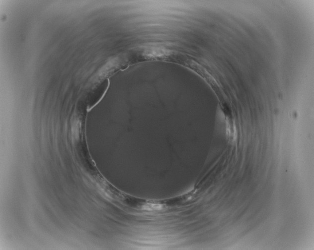 X0000087530227200705112039