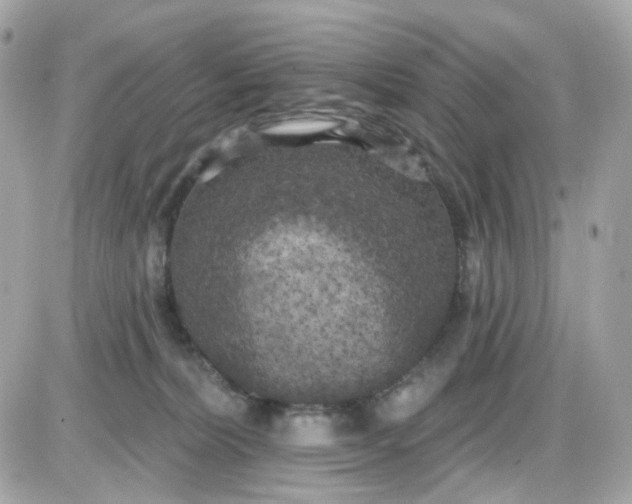 X0000087530228200705112039