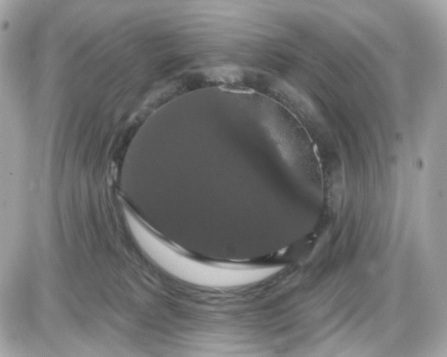 X0000087530229200705112039