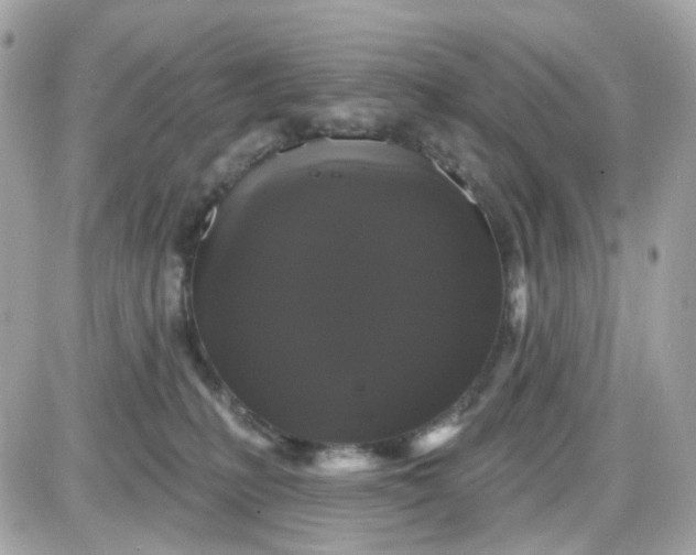 X0000087530231200705112039