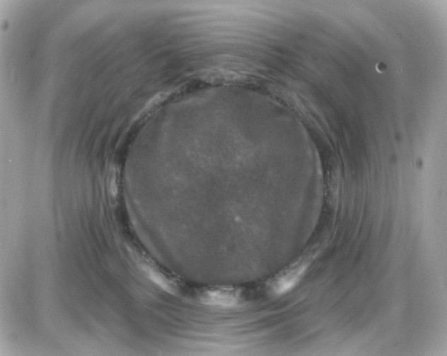 X0000087530232200705112039