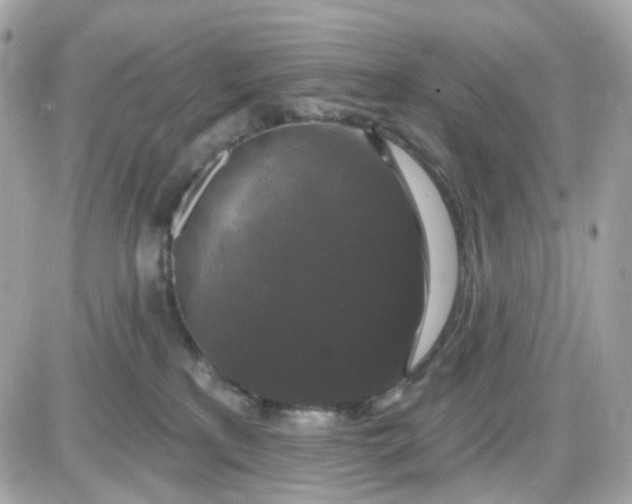 X0000087530233200705112039