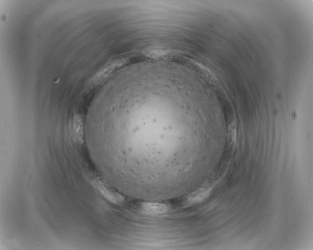 X0000087530234200705112039