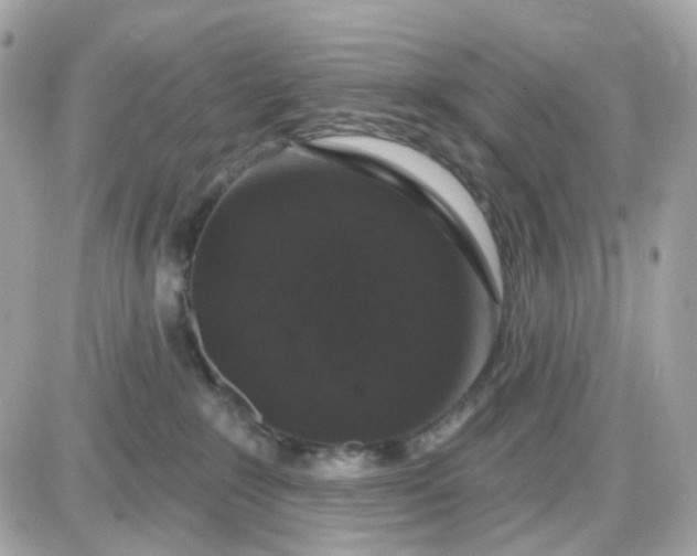 X0000087530235200705112039