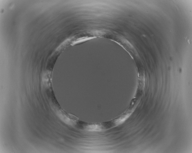 X0000087530237200705112039