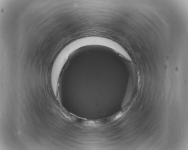 X0000087530239200705112039