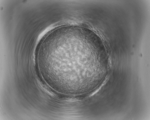 X0000087530246200705112038