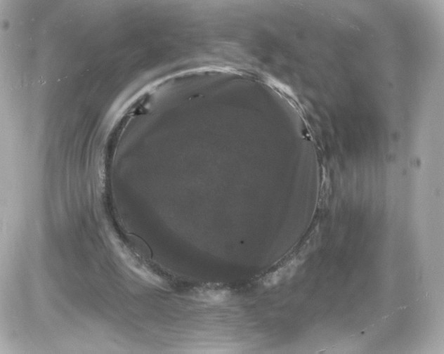 X0000087530247200705112038