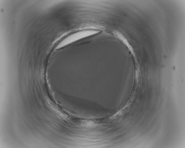 X0000087530249200705112038