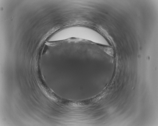 X0000087530250200705112038