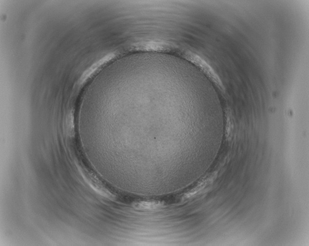 X0000087530251200705112038