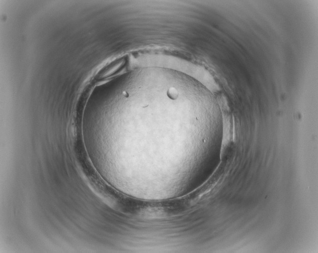 X0000087530252200705112038