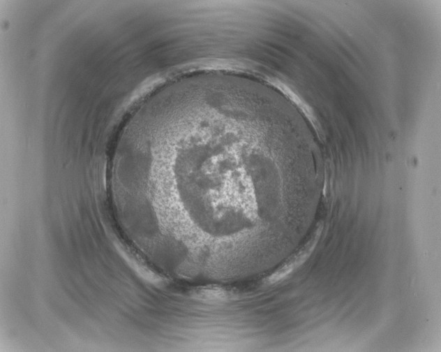 X0000087530253200705112038