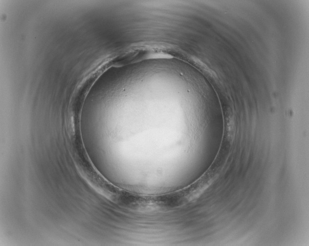 X0000087530254200705112038