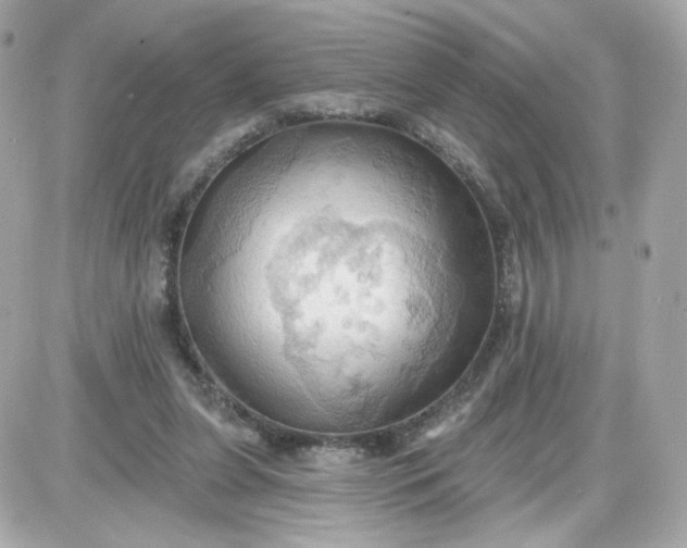 X0000087530255200705112038