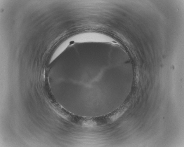 X0000087530258200705112038