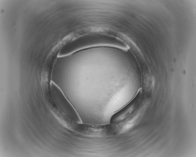 X0000087530260200705112038