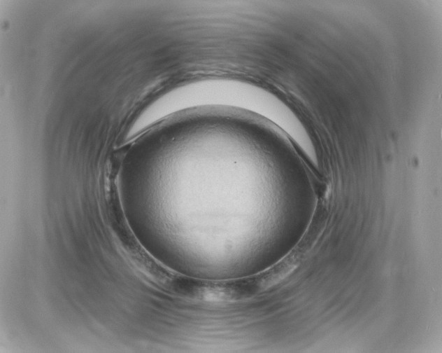 X0000087530264200705112039