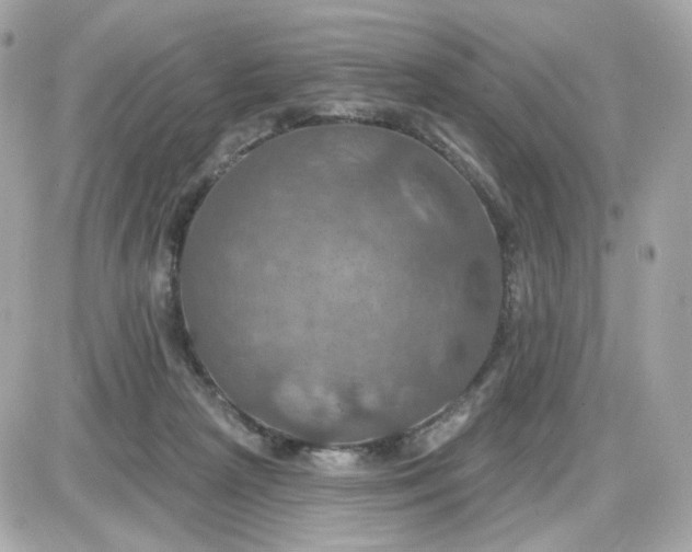 X0000087530265200705112039