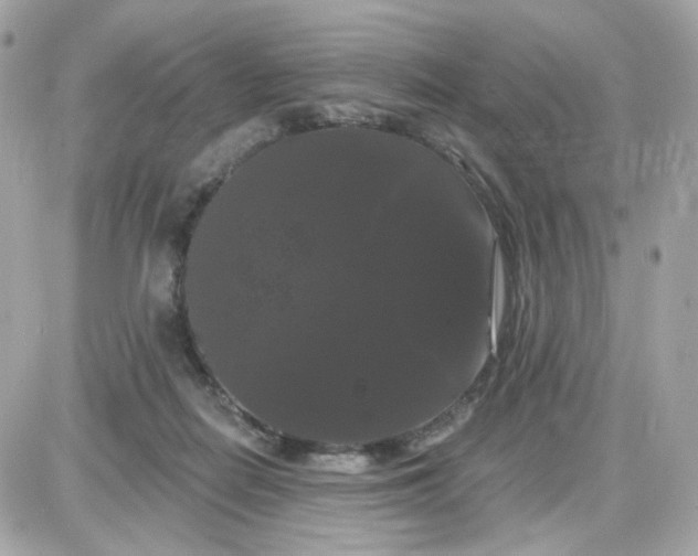 X0000087530266200705112039