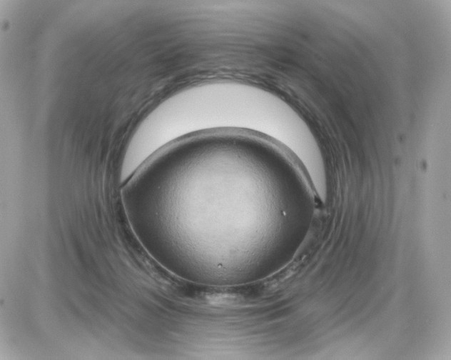 X0000087530268200705112039