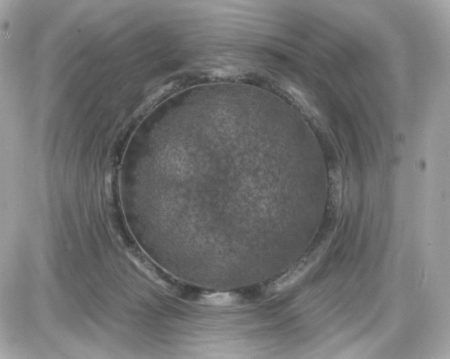 X0000087530269200705112039