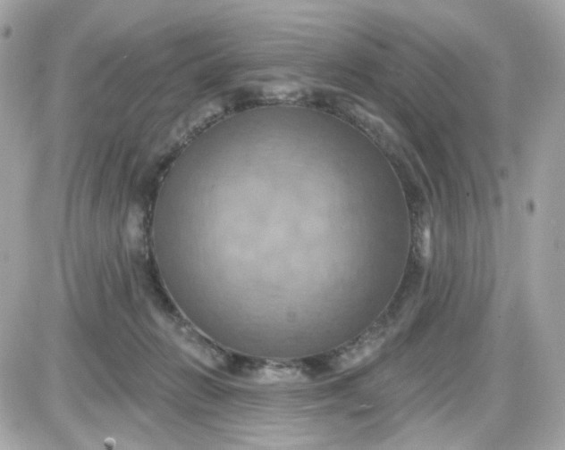 X0000087530270200705112039