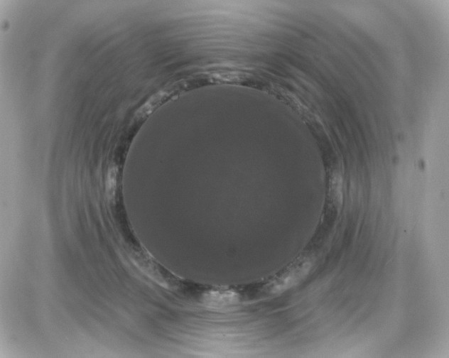 X0000087530271200705112039