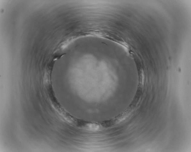 X0000087530272200705112039