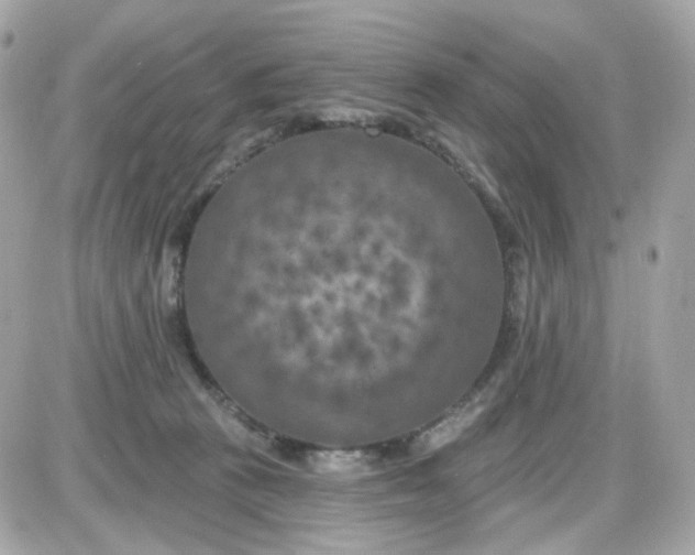 X0000087530273200705112039