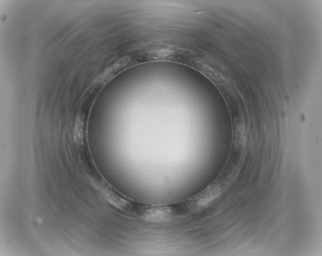 X0000087530274200705112039