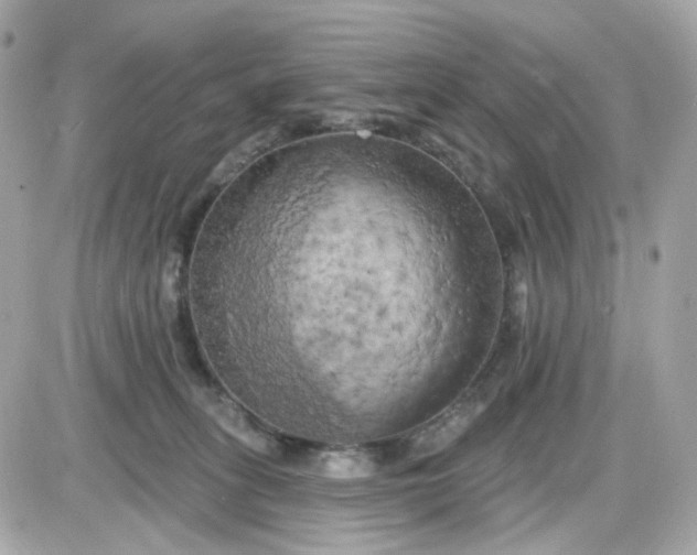 X0000087530275200705112039