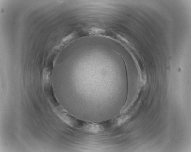 X0000087530276200705112039